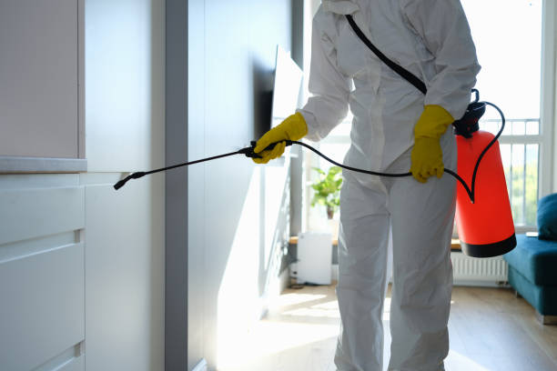 Best Kitchen Mold Remediation in Danvle, IL